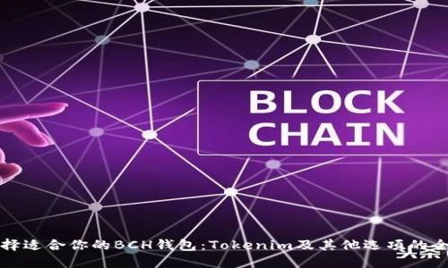 如何选择适合你的BCH钱包：Tokenim及其他选项的全面指南