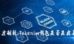 深度剖析：Tokenim钱包是否