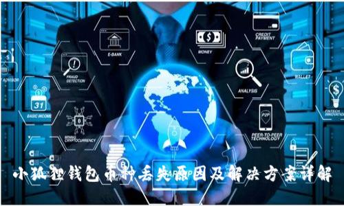 小狐狸钱包币种丢失原因及解决方案详解