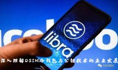 深入理解DSIM冷钱包与公链
