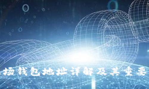 波场钱包地址详解及其重要性
