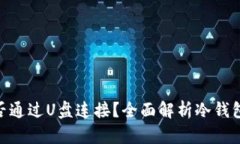 : 电脑冷钱包能否通过U盘