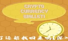 冷钱包的币转走了还能找回来吗？深入分析和实