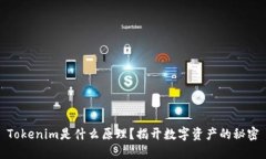 Tokenim是什么原理？揭开数字资产的秘密