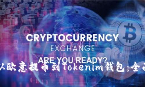 如何从欧意提币到Tokenim钱包：全面指南
