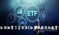 钱包私钥泄露了怎么办？如何保护你的数字资产