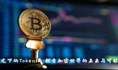 “阳光下的Tokenim：探索加密世界的未来与可能性