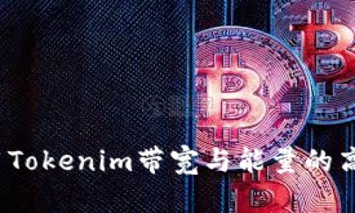 如何利用Tokenim带宽与能量的高效结合？