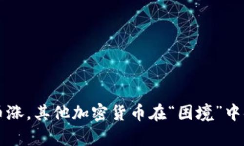 只有比特币涨，其他加密货币在“困境”中挣扎的真相