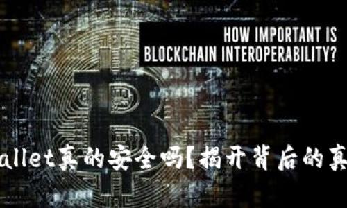 Trust Wallet真的安全吗？揭开背后的真相与风险