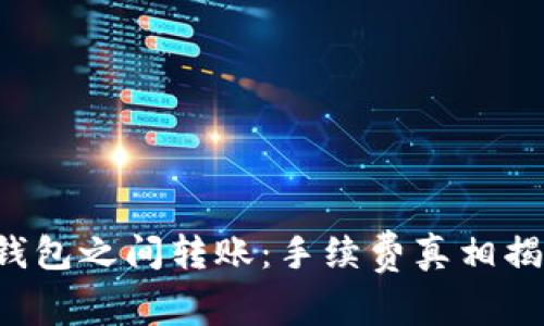 冷钱包之间转账：手续费真相揭秘！