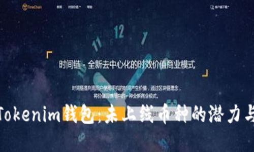 揭秘Tokenim钱包：未上线币种的潜力与风险