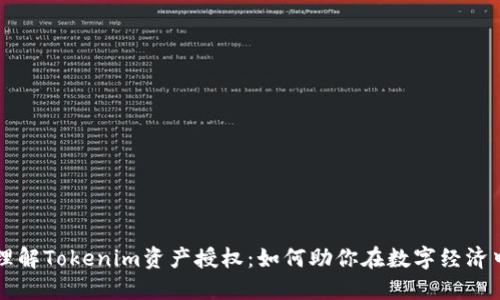 深入理解Tokenim资产授权：如何助你在数字经济中腾飞