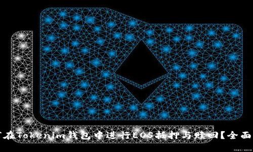 如何在Tokenim钱包中进行EOS抵押与赎回？全面指南