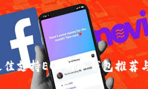 2023年最佳支持EOS的冷钱包推荐与使用指南