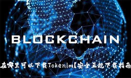 在哪里可以下载Tokenim？安全正规下载指南