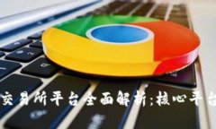 中国虚拟币交易所平台全