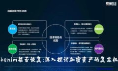 Tokenim能否恢复：深入探讨