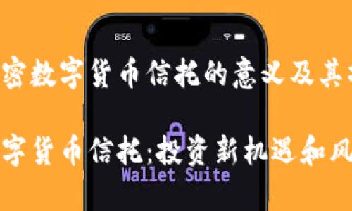 理解加密数字货币信托的意义及其操作

加密数字货币信托：投资新机遇和风险分析