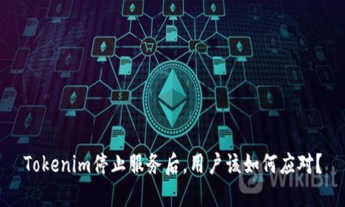 Tokenim停止服务后，用户该如何应对？