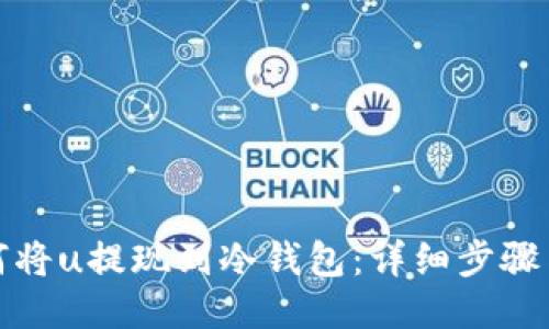 : 如何将u提现到冷钱包：详细步骤与指南