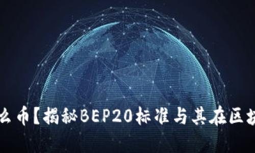 BEP20是什么币？揭秘BEP20标准与其在区块链中的应用