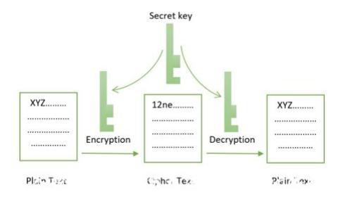 深入探讨：ZEC为何无法进行Token化操作