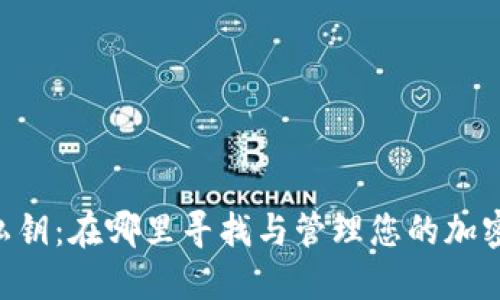 Tokenim私钥：在哪里寻找与管理您的加密资产安全