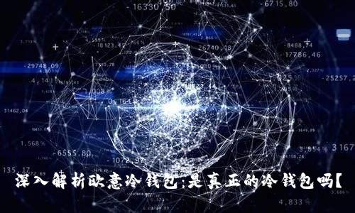 深入解析欧意冷钱包：是真正的冷钱包吗？