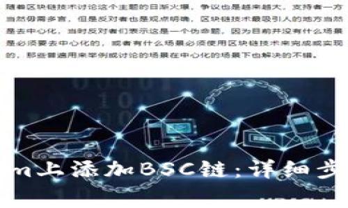 如何在Tokenim上添加BSC链：详细步骤和注意事项