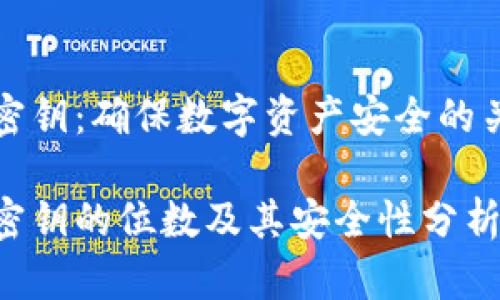 冷钱包密钥：确保数字资产安全的关键问题

冷钱包密钥的位数及其安全性分析