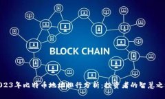 2023年比特币地址排行分析