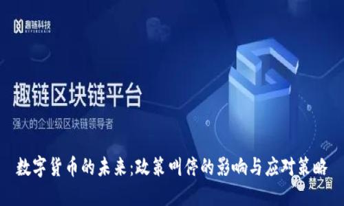 数字货币的未来：政策叫停的影响与应对策略