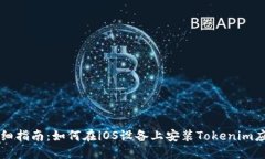 详细指南：如何在iOS设备上安装Tokenim应用