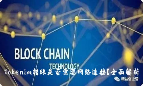 Tokenim转账是否需要网络连接？全面解析